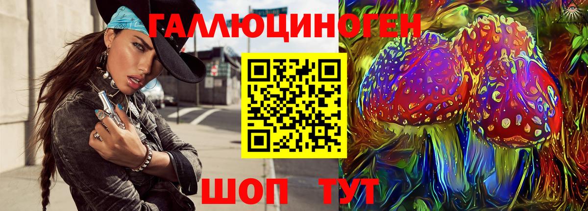 Псилоцибиновые грибы GOLDEN TEACHER  Вход с VPN  Волжск 