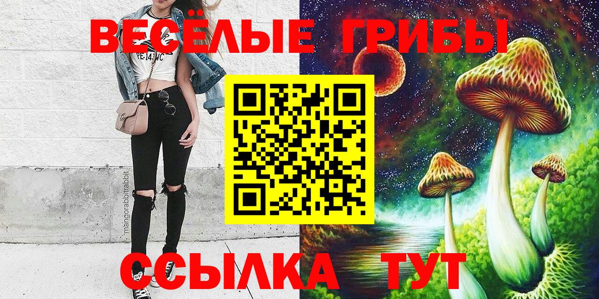 Галлюциногенные грибы Psilocybine cubensis Волжск